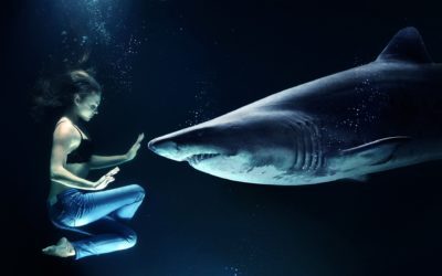 When is a Shark Bite Good For You?